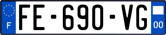FE-690-VG