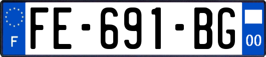 FE-691-BG