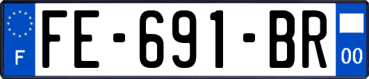 FE-691-BR