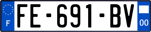 FE-691-BV