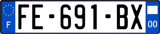 FE-691-BX
