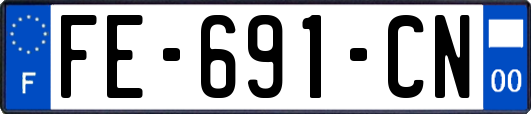 FE-691-CN