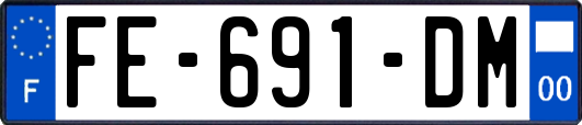 FE-691-DM