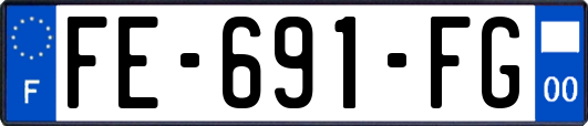 FE-691-FG