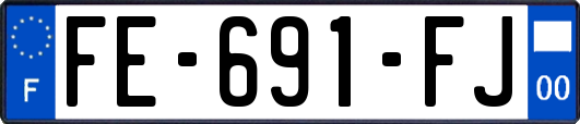 FE-691-FJ