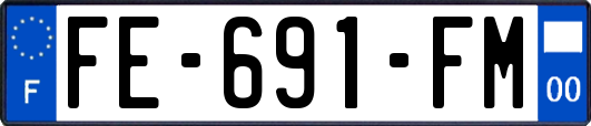 FE-691-FM