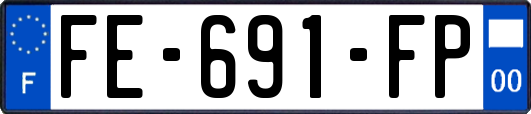 FE-691-FP