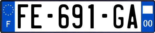 FE-691-GA
