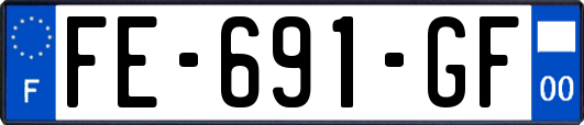 FE-691-GF