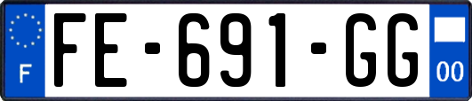 FE-691-GG
