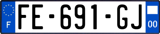 FE-691-GJ