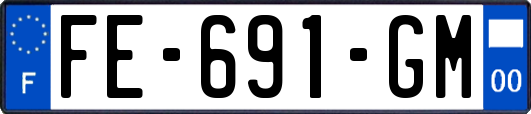FE-691-GM