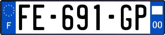 FE-691-GP