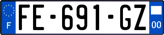 FE-691-GZ