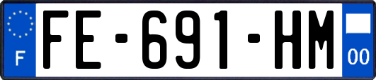 FE-691-HM