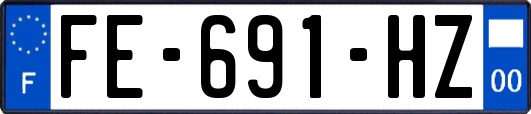FE-691-HZ