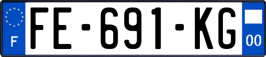 FE-691-KG
