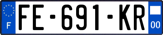 FE-691-KR