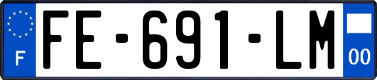 FE-691-LM