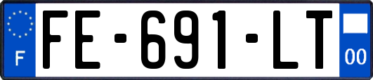 FE-691-LT