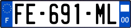 FE-691-ML