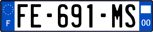 FE-691-MS
