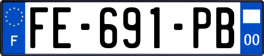 FE-691-PB