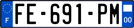 FE-691-PM