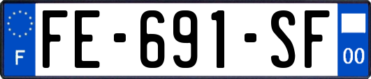 FE-691-SF