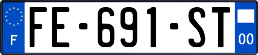 FE-691-ST