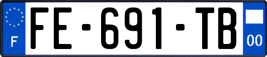 FE-691-TB