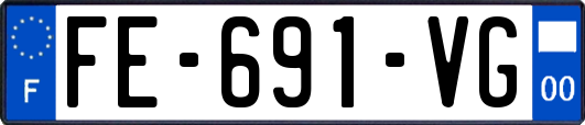 FE-691-VG