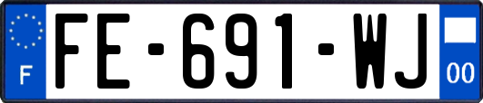 FE-691-WJ