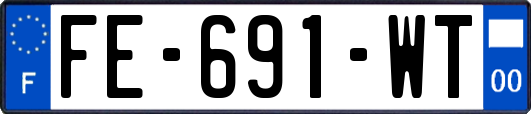 FE-691-WT
