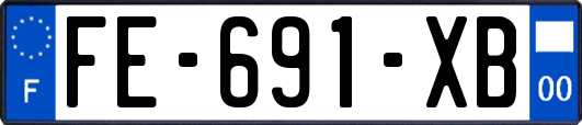 FE-691-XB