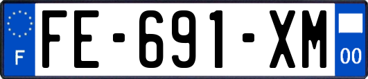 FE-691-XM