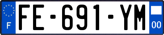 FE-691-YM