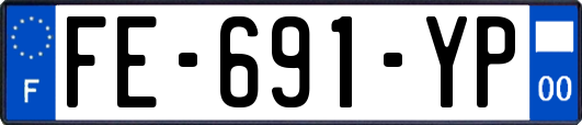 FE-691-YP