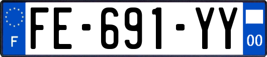 FE-691-YY