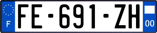 FE-691-ZH