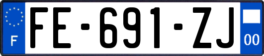 FE-691-ZJ