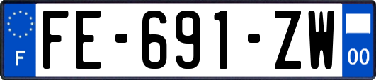 FE-691-ZW