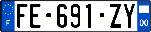 FE-691-ZY