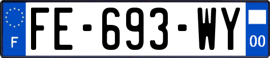 FE-693-WY