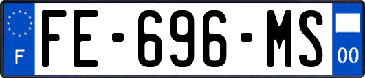 FE-696-MS