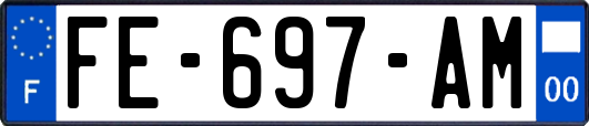 FE-697-AM