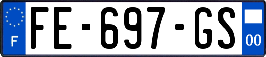FE-697-GS