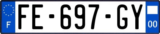 FE-697-GY