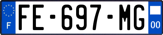 FE-697-MG