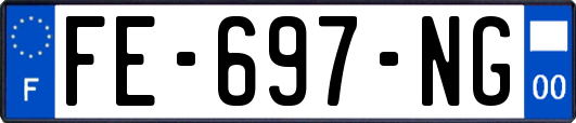 FE-697-NG